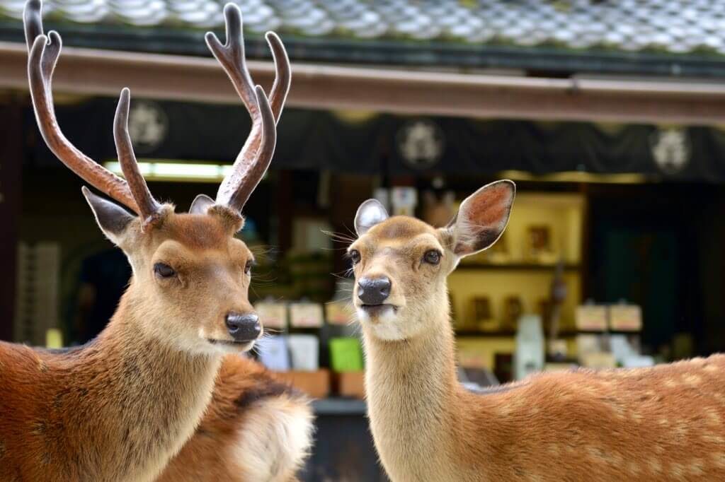 ブログ、はじめました。