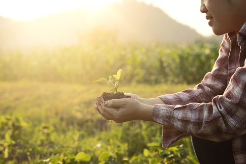 おいしい未来のための約束